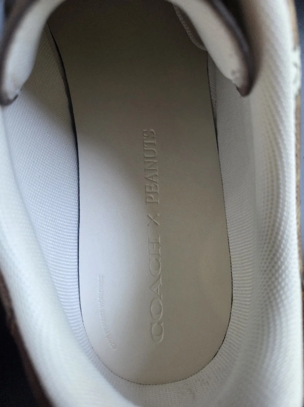 Coach × Peanuts Shoes - Picture 9 of 16
